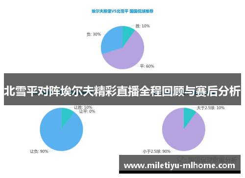 北雪平对阵埃尔夫精彩直播全程回顾与赛后分析